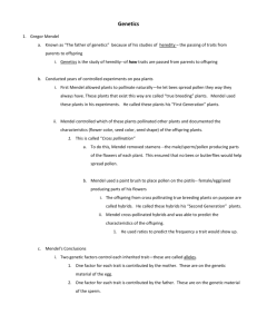 Ch 5 Genetics Outline