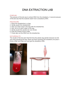 dna extraction lab