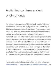 Arctic find confirms ancient origin of dogs