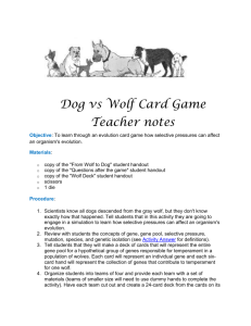 Dog vs Wolf Card Game Teacher notes Objective: To learn through