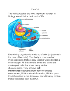 Cell/Organelles/Plasma membrane study guide