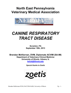 Canine Respiratory Tract Disease