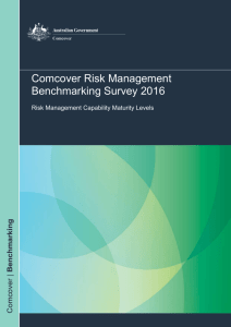 Risk Management Capability Maturity Levels
