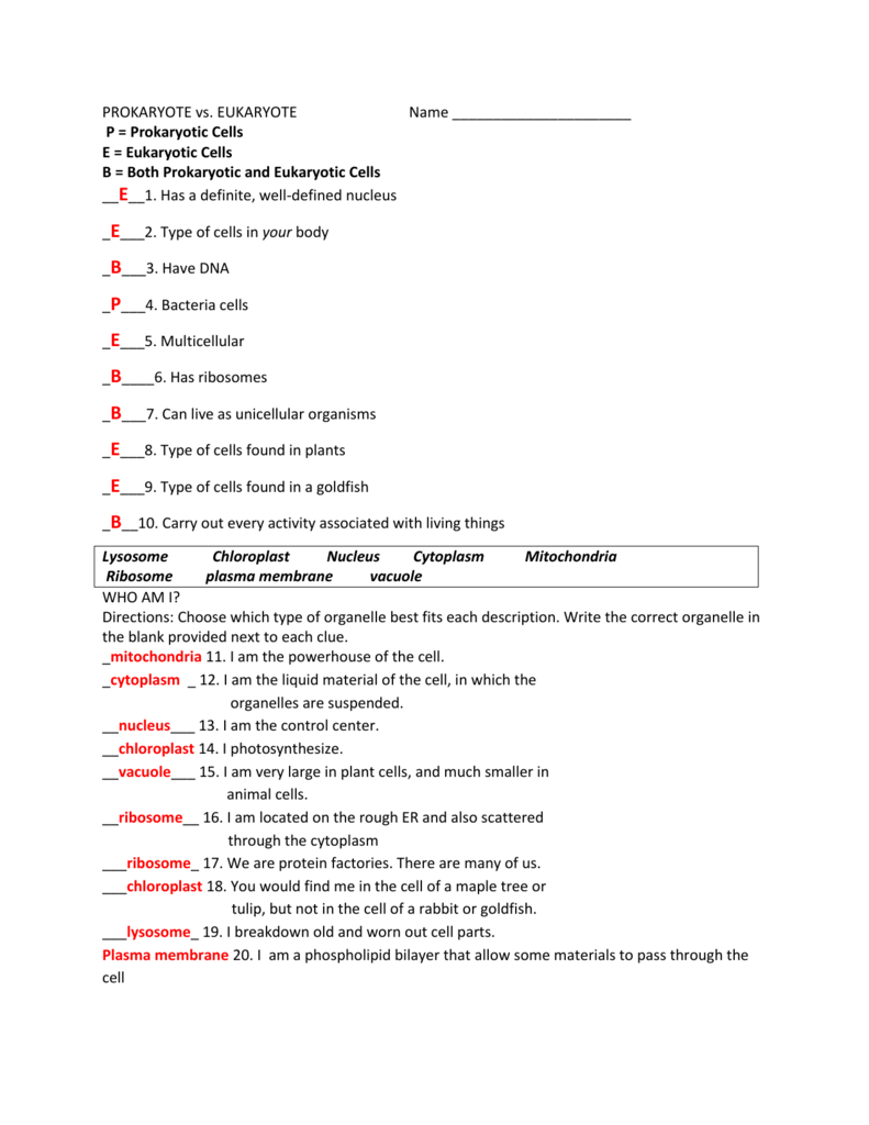 Prokaryote vs Eukaryote Within Prokaryotes Vs Eukaryotes Worksheet