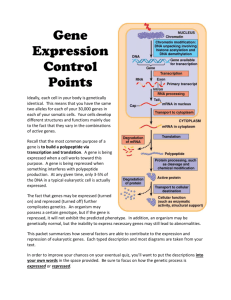 Gene Expression Regulation