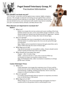 Vaccinations – Dogs - Puget Sound Veterinary Group
