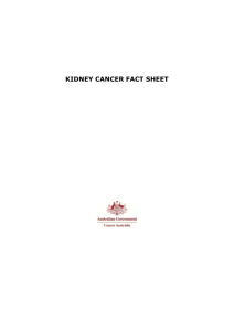 Kidney cancer fact sheet