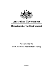 Assessment of the South Australian Rock Lobster Fishery (DOCX