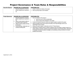 Project Organization Roles and Responsibilities Guide