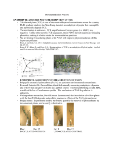 Phytoremediation Projects