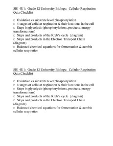 Cellular Respiration Quiz Checklist