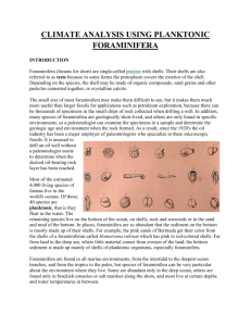Table 1. Neogloboquadrina pachyderma coiling rations worksheet