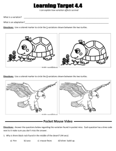 Click Here for Worksheet
