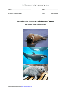 Part B: Establishing the Ancestry of Marine and Land Mammals