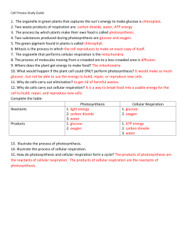 Case study cellular transport answer key pdf picture