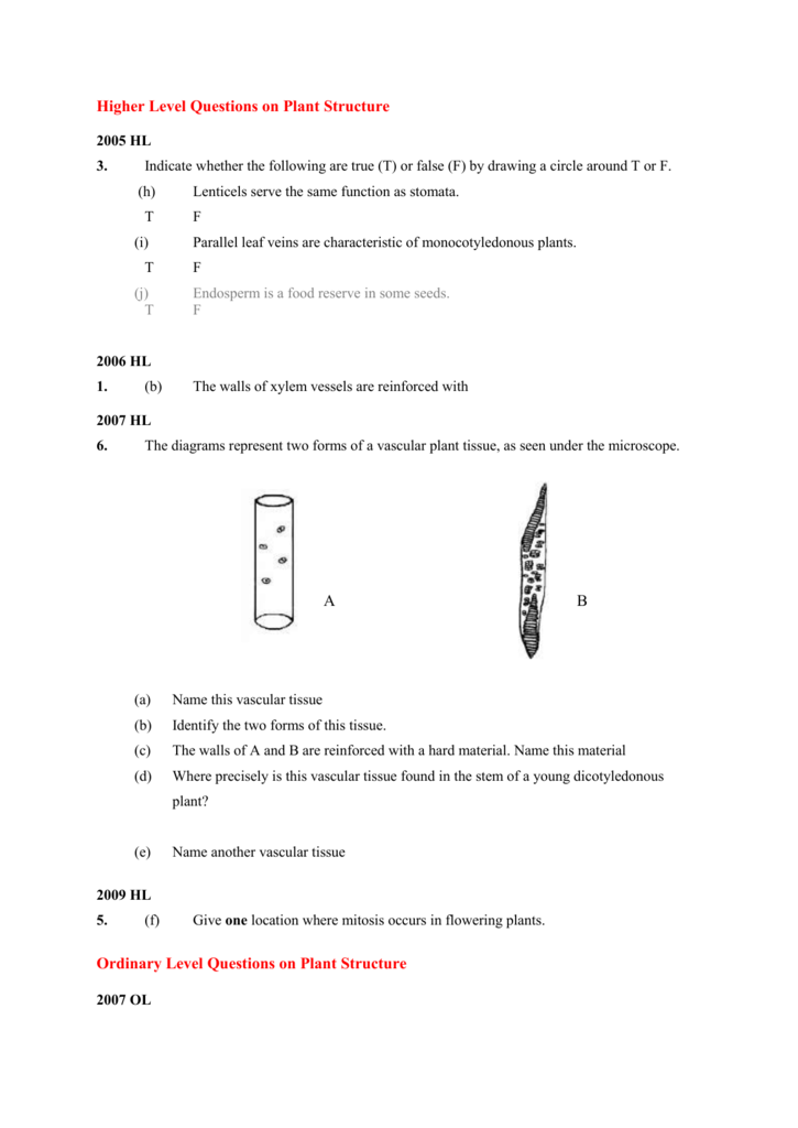 Higher Level Questions On Plant Structure
