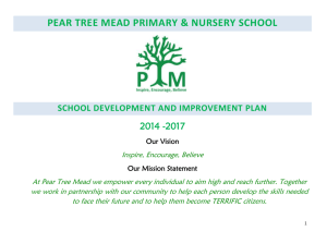 School Development and Improvement Plan