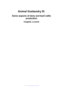 Animal Husbandry III. Some aspects of dairy and beef cattle