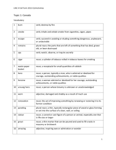 LINC 4 Fall Term 2013 CLB Activities Topic 1: Canada Vocabulary 1