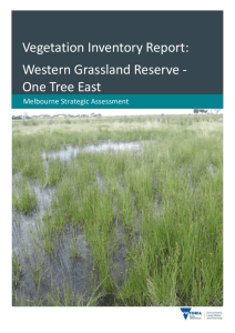 Vegetation inventory report One Tree Hill (2015) (Accessible version)