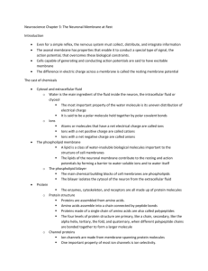 Neuroscience Chapter 3: The Neuronal Membrane at Rest