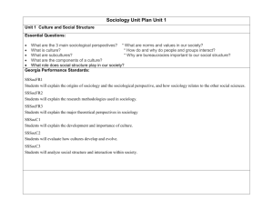 Unit 1 Culture and Social Structure Sociology (2)
