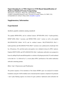 Supplementary Information Experimental Synthetic peptide