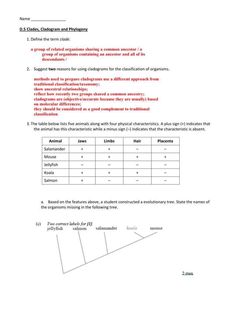 making-a-cladogram-worksheet-answers-worksheets-for-kindergarten