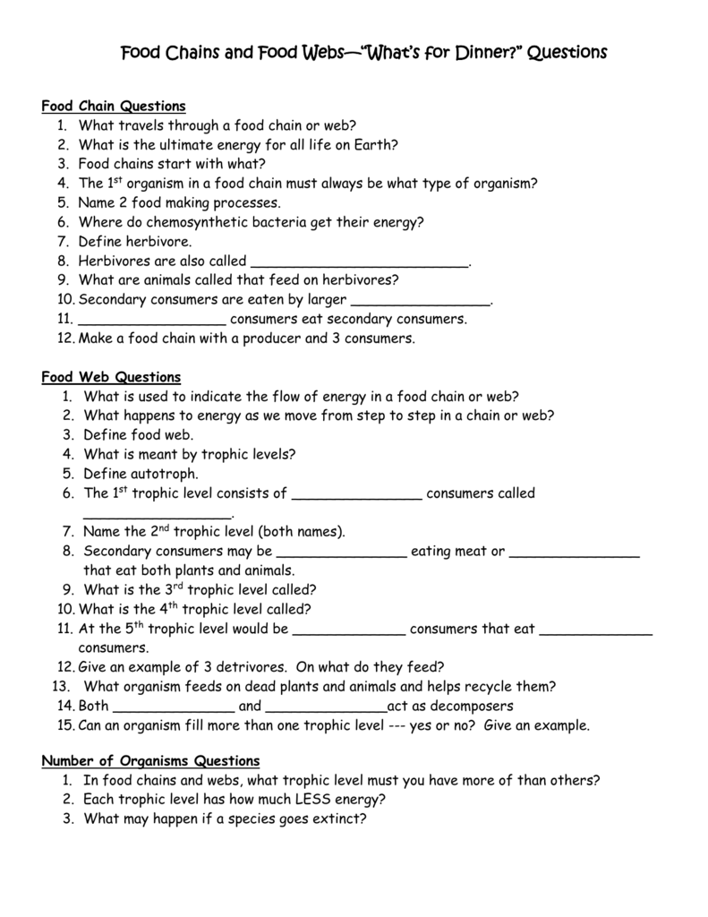 Food Chain Worksheet Answers