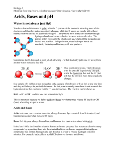 Acids, Bases and pH