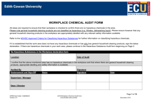 Workplace Chemical Audit Form Word Document,