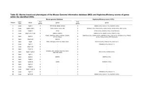 Table S2. Murine knock-out phenotypes of the Mouse Genome