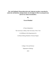 Haddad_Thesis - University at Albany