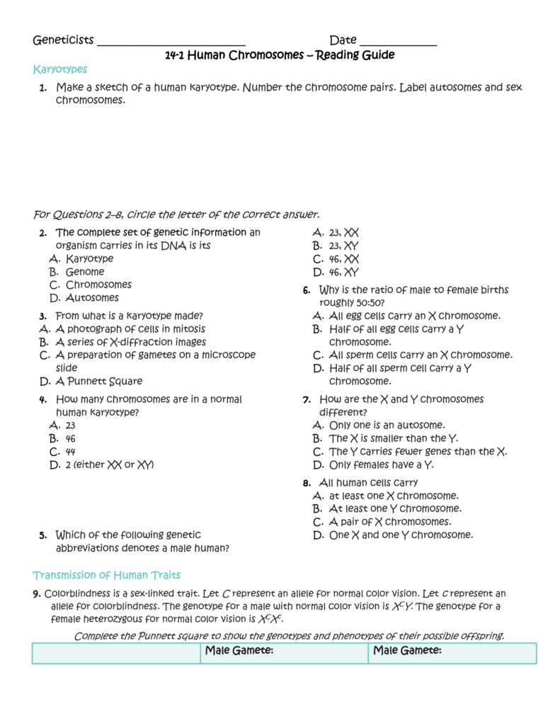 Reading guide 14-1