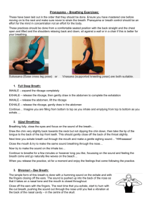 Pranayama – Breathing Exercises: These have been laid out in the