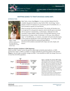 Mapping Genes to Traits in Dogs using SNPs