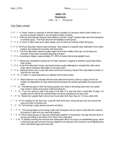 Final Exam - Department of Animal Science