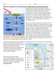 Puget Sound Algal Blooms