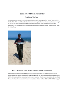 2015 June MVSA Newsletter - Martha`s Vineyard Surfcasters