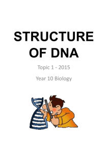 Student notes – Structure of DNA – TOPIC 1