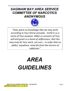 SBASCNA Guidelines - michigan narcotics anonymous