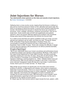Joint Injections for Horses