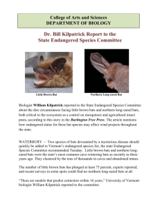 Dr. Kilpatrick`s Report on Bats (doc)