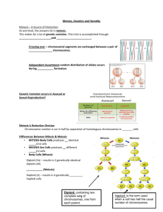 File meiosis, heredity and genetic notes