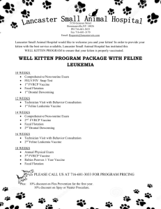 Kitten Program - Lancaster Small Animal Hospital