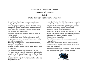 June 2014 - Montessori Children`s Garden
