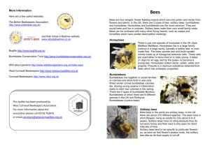 Bee Info Leaflet - West Cornwall Beekeepers Association