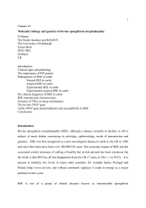 Chapter 10 Molecular biology and genetics of bovine spongiform