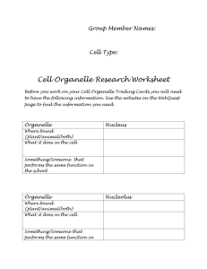 Cell Organelle Research Worksheet