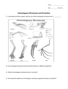 Homologous Structures and Evolution
